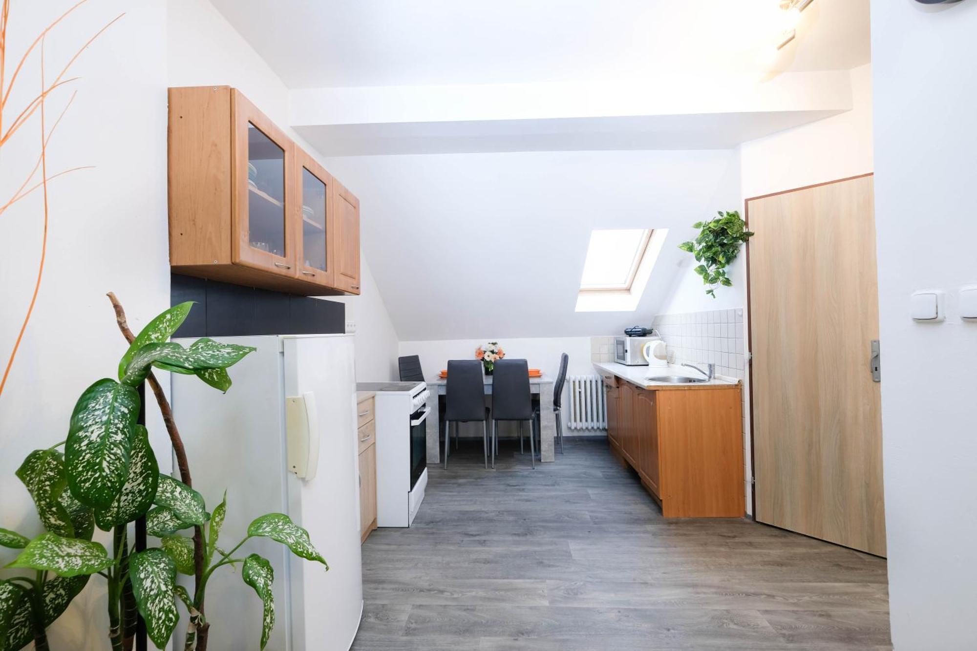 Apartments Alena - קרלובי וארי מראה חיצוני תמונה